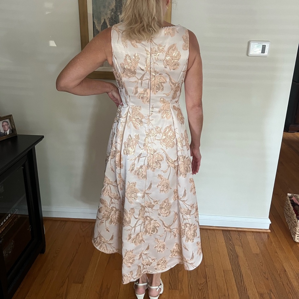Adrianna Papell High Low Dress in Cream and Tan - Picture 3 of 6